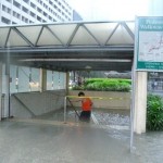 ayala submerged ayala submerged