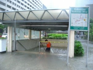 ayala submerged