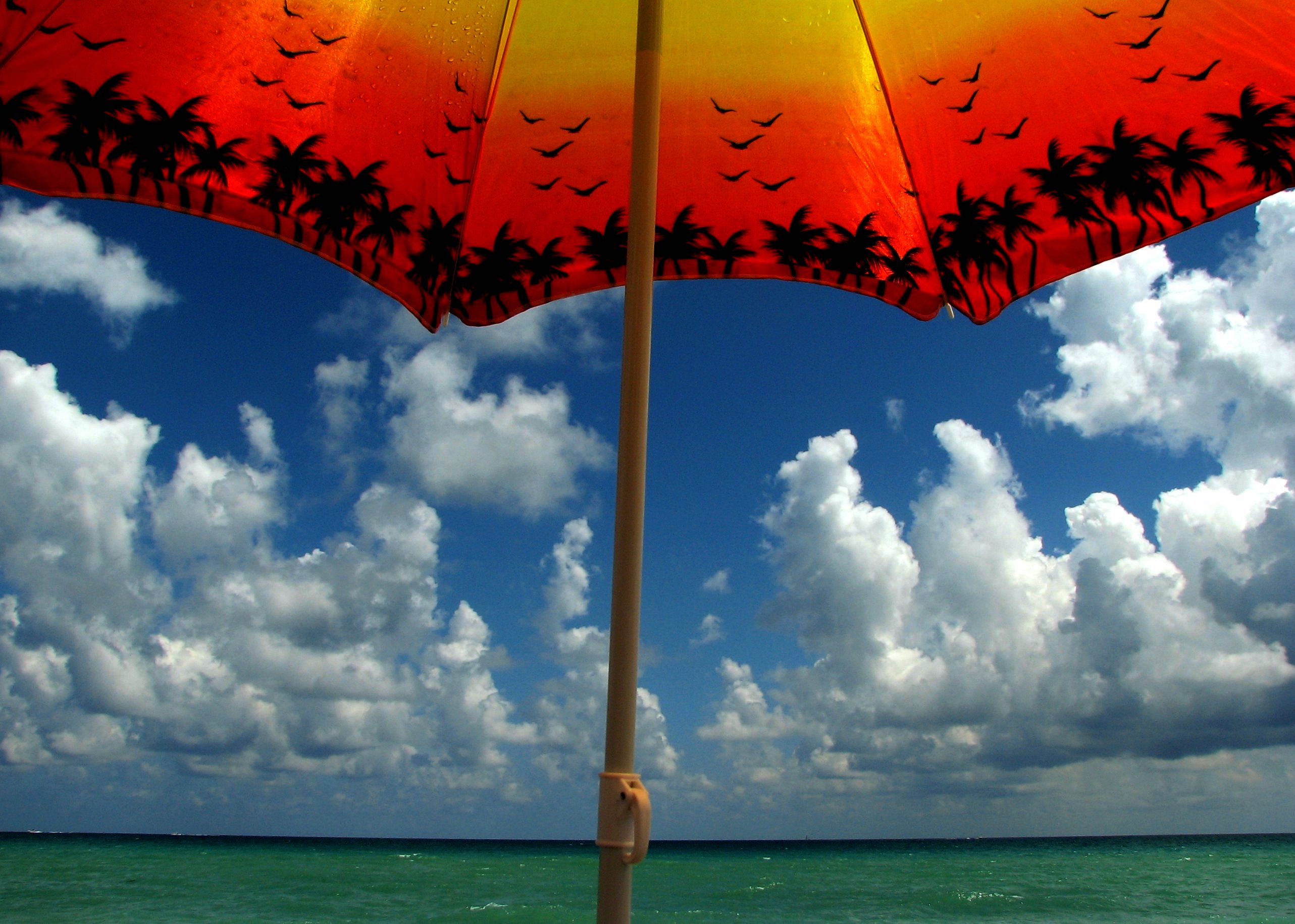 beach umbrella sunlight