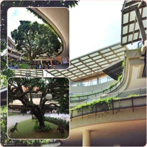 fairview terraces collage resized